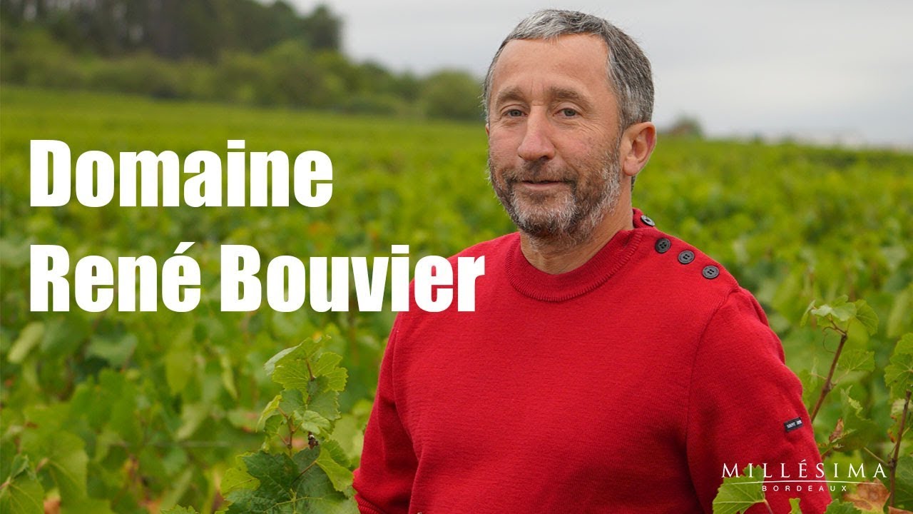 DOMAINE RENE BOUVIER - BOURGOGNE - MILLESIMA