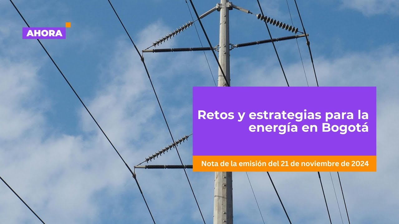 Estrategias para asegurar el suministro energ&eacute;tico en Bogot&aacute; | Entrevistas