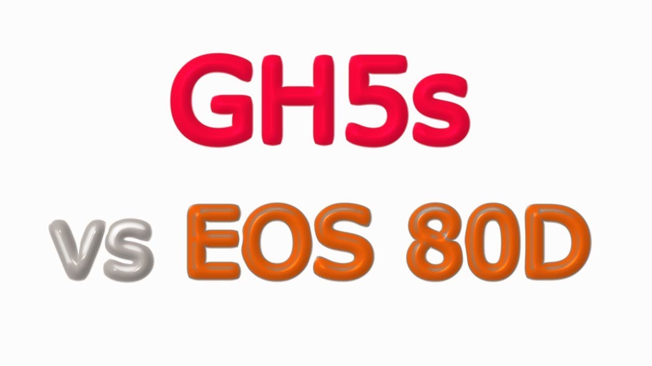 Panasonic GH5s vs Canon EOS 80D