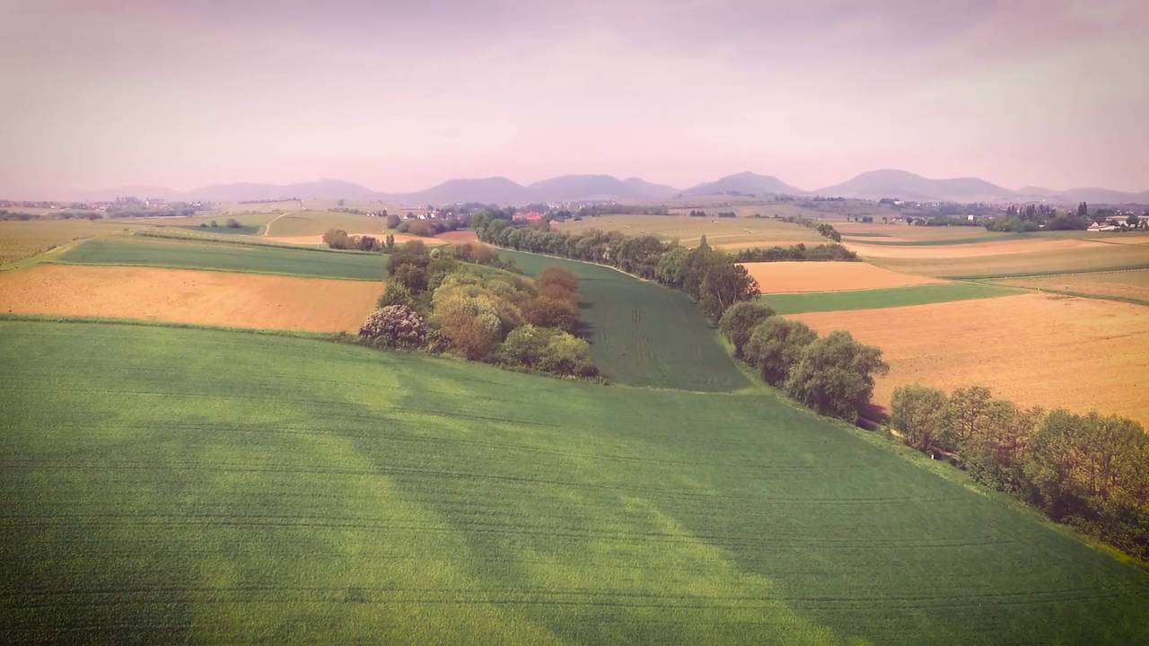 Landau von oben | So schön sind Baden und die Pfalz | Pfalz | Weinstraße