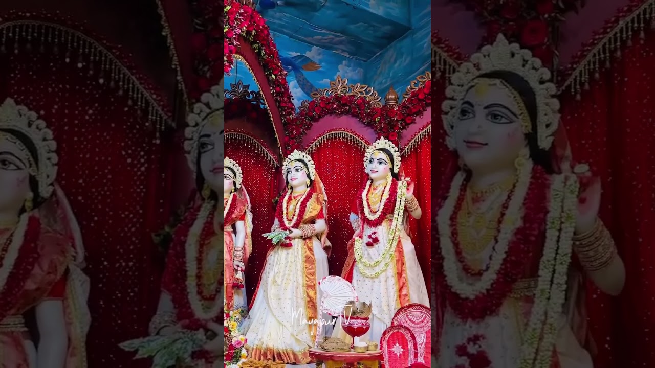 Beautiful Darshan of Sri Sri Radhamadhava on Auspicious day of Tungavidya Sakhi Appearance day