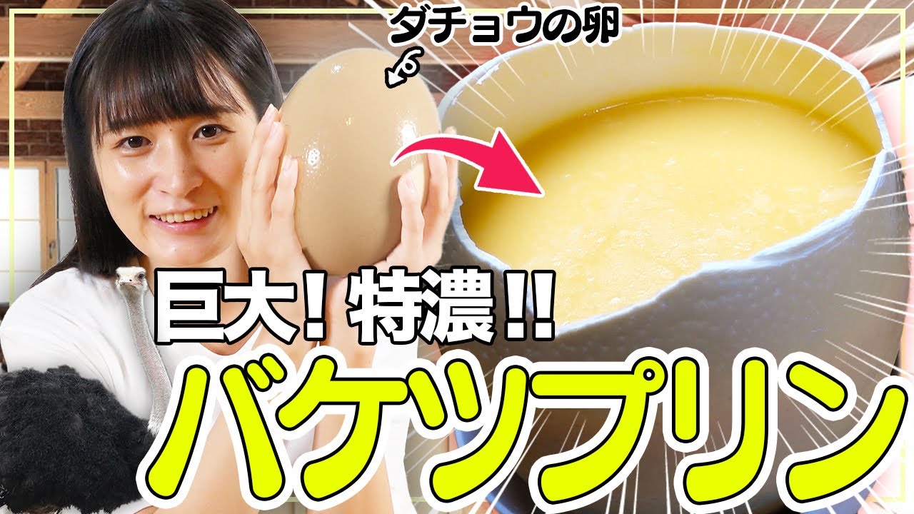 【卵35個分】巨大ダチョウ卵で濃厚バケツプリン作り！！！！
