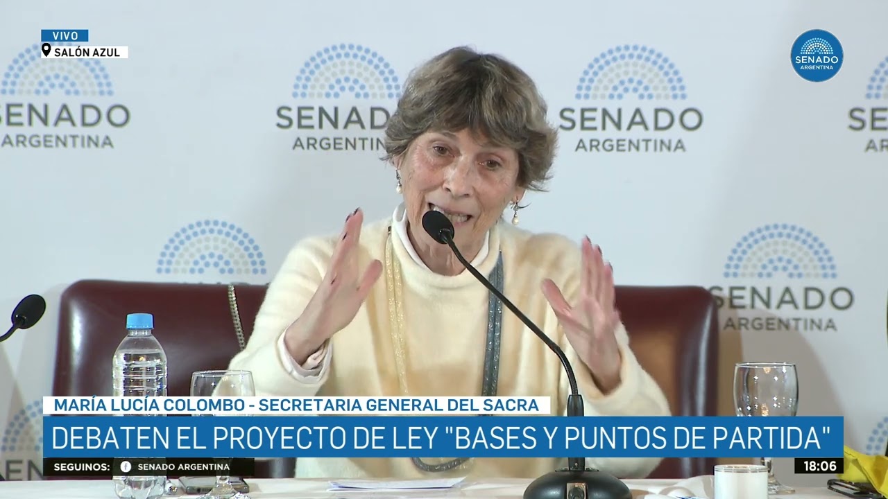 MARÍA LUCÍA COLOMBO - PLENARIO 14-05-24
