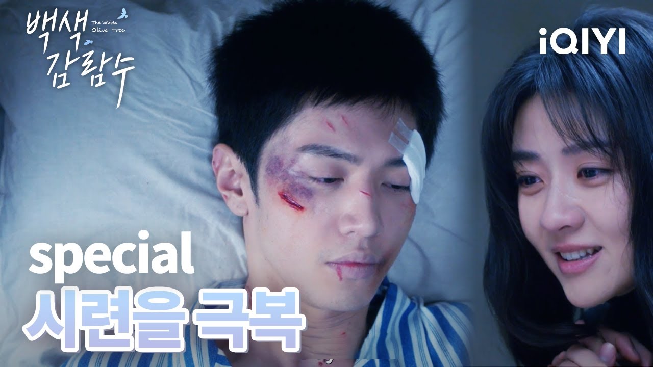 쑹란 리짠을 데리고 귀국  병과 싸우면서도 두 사람은 함께 삶을 헤쳐 나가기로 결심 | 백색감람수 37-38 | iQIYI Korea