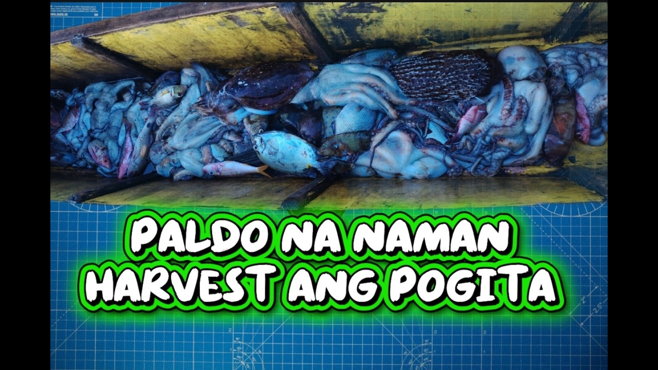 nightdive spearfishing,samot saring masasarap na seafoods ang nagpakita