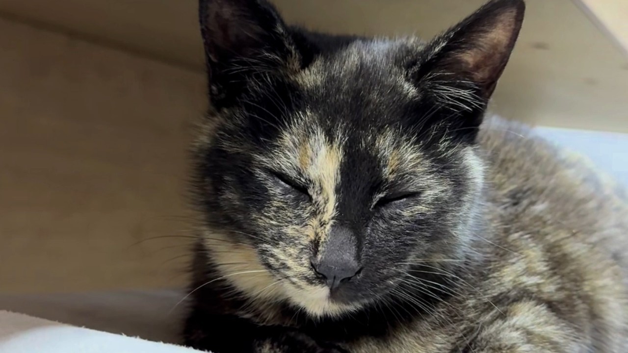 처음인데, 너무 편안해