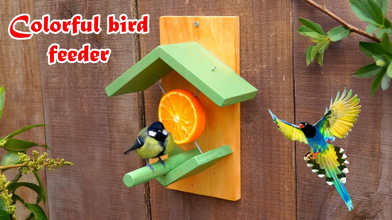Enhance bird health with wooden bird feeder