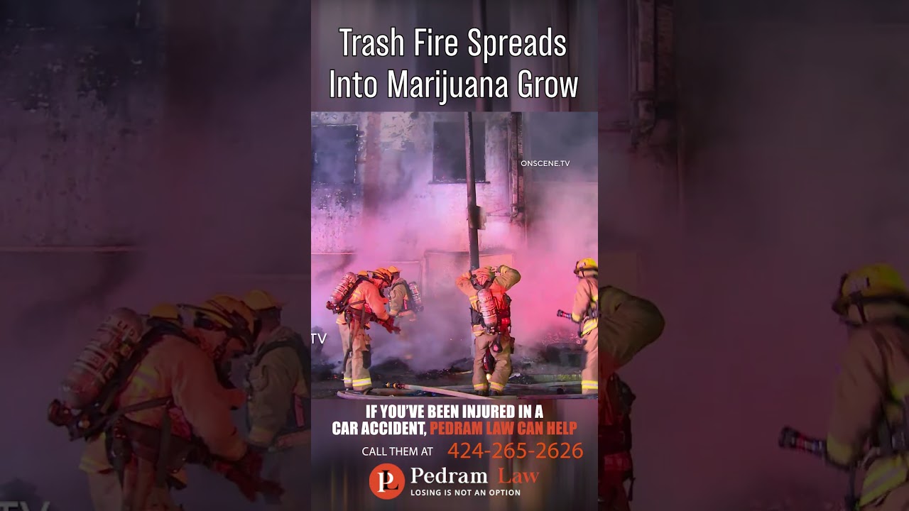 Trash Fire Spreads Into Marijuana Grow