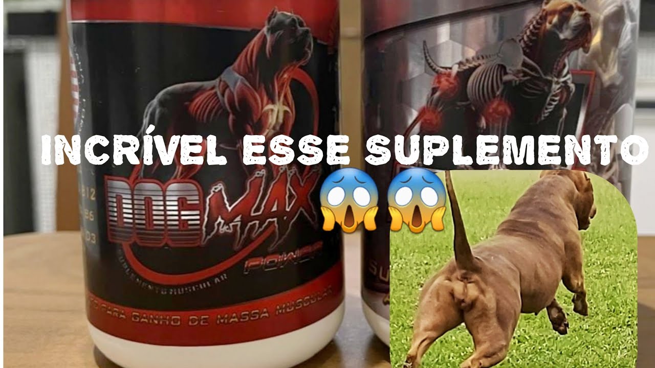 A VERDADE DOS SUPLEMENTOS PARA PIT MONSTER.