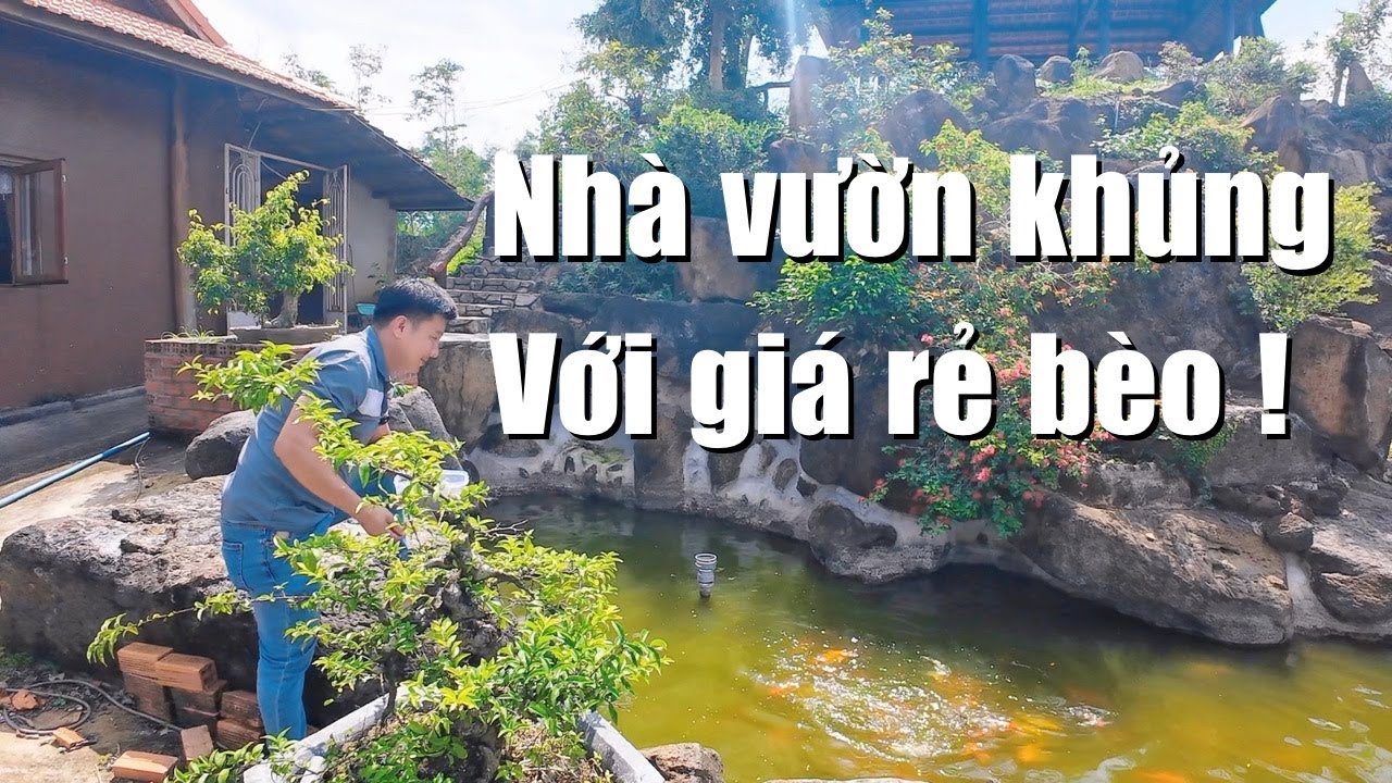 Cần tiền làm ăn buộc anh Luận phải bán Nhà vườn tâm huyết gầy dựng