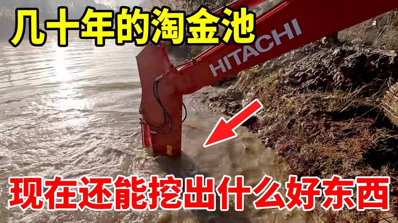 几十年淘金坑变野鱼塘，抽水半天没鱼，结局惊喜了#挖机放水 #挖机抓鱼 #挖机干活日常