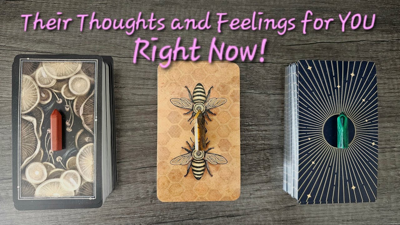 ❤️‍🔥Their Thoughts and Feelings for YOU Right Now!❤️‍🔥Pick a Card Love Tarot Reading✨️Timeless✨️
