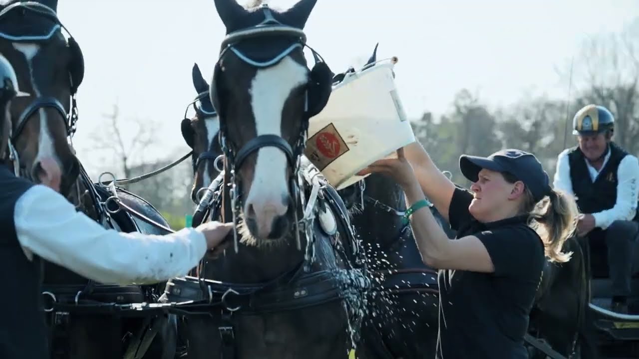 CAIO / CAI Kladruby nad Labem, CZE, 2024