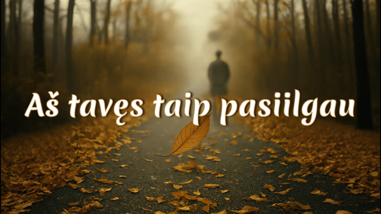 ⟪ Aš tavęs taip pasiilgau ⟫ ❤️🩶❤️🩶❤️ #lietuviskadaina
