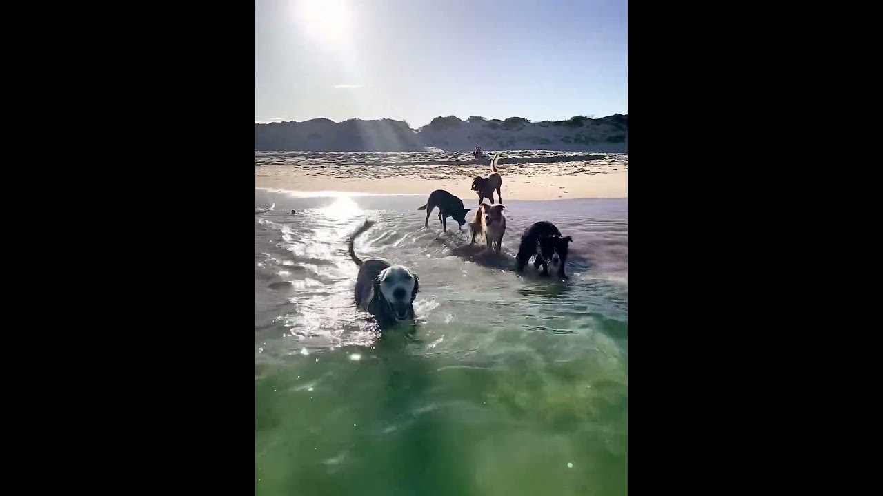I can&rsquo;t believe how clear it is.