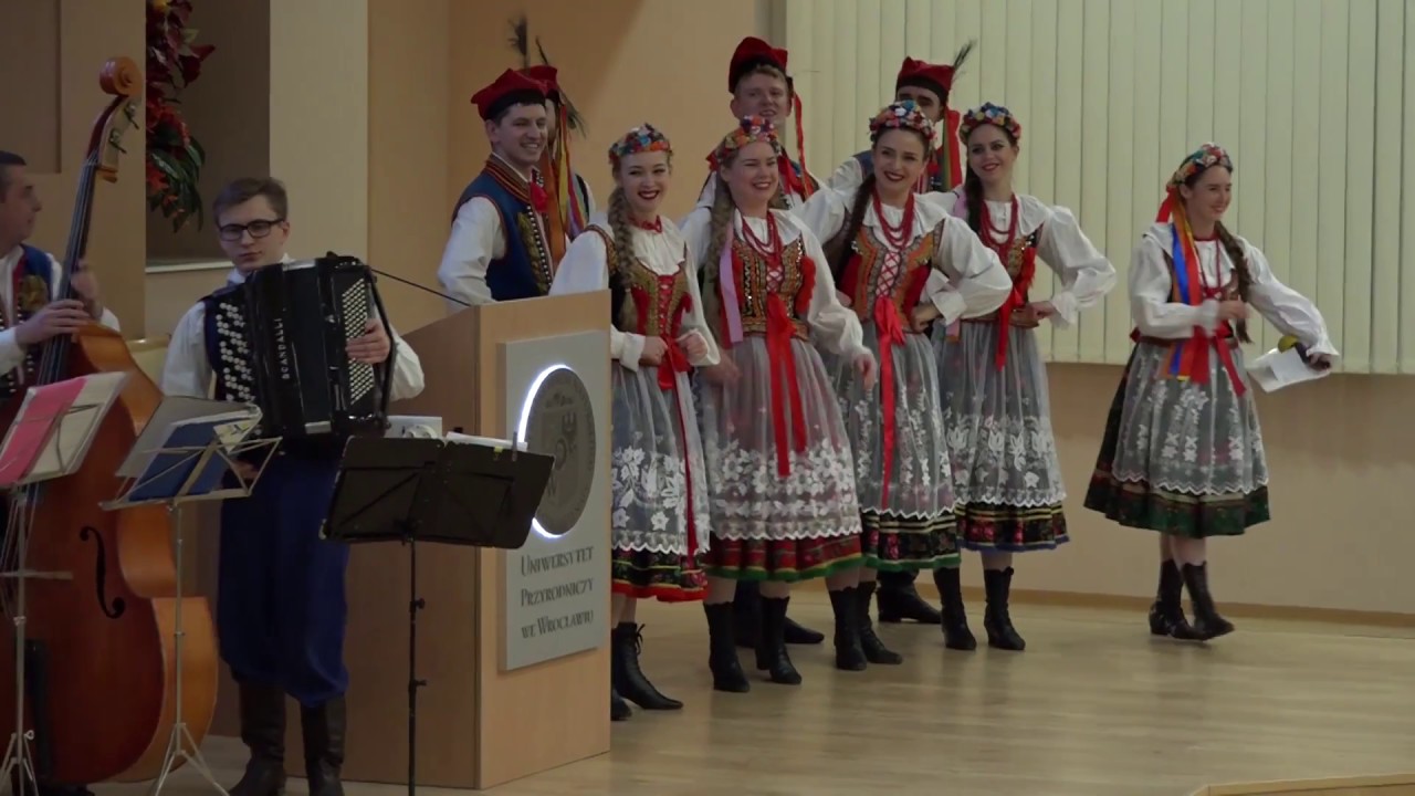 2017 Jedliniok Szalona Studencka Noc Naukowa