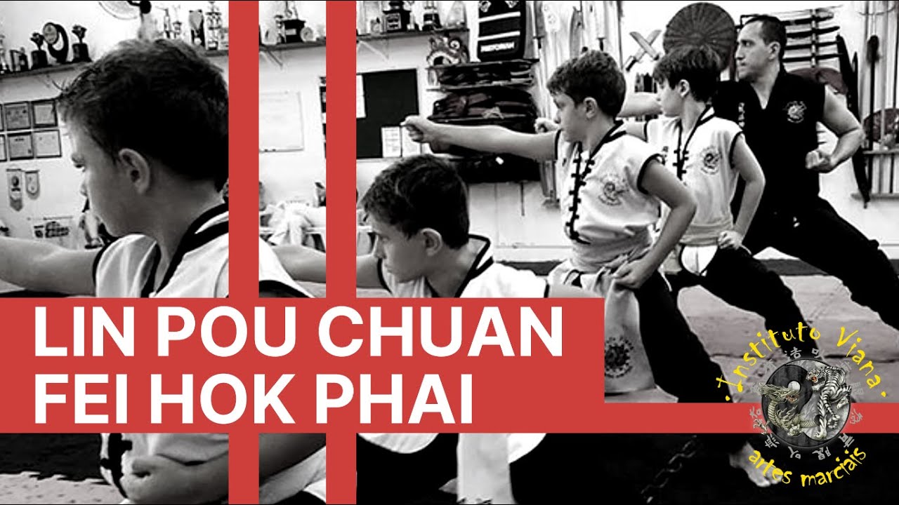 Lin Pou Chuan Kung Fu Fei Hok Phai