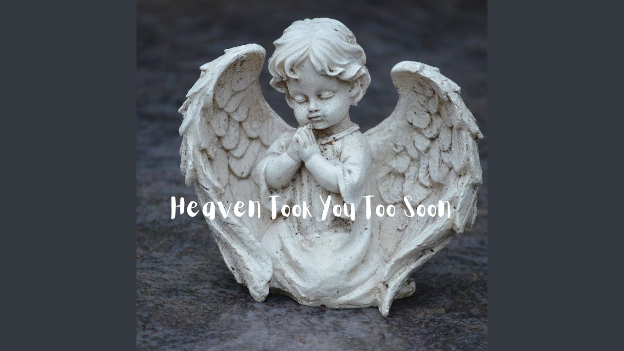 Heaven Took You Too Soon