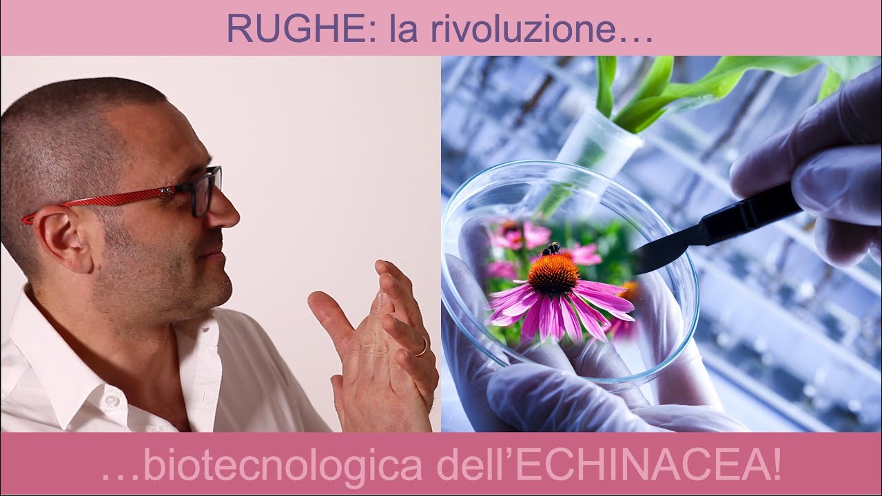 Rughe: la rivoluzione biotecnologica dell’echinacea!