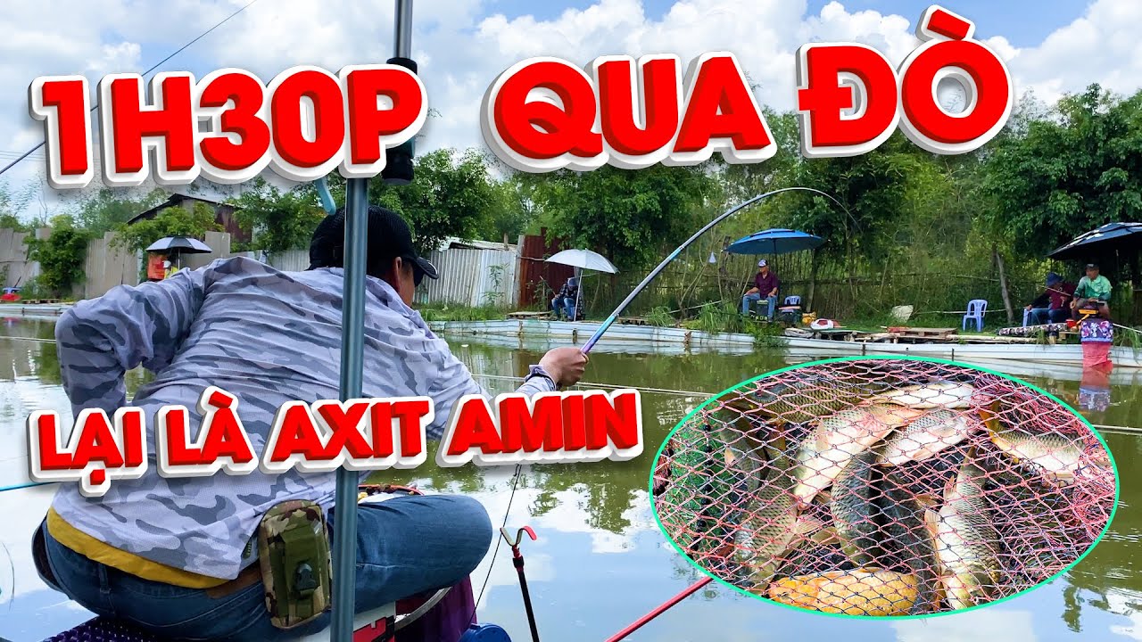 Kỹ Thuật Câu Đài | Bài Mồi Chép Bắp Ủ (Vitamin + Axit Amin) - 1h30 Phút Qua Đò.
