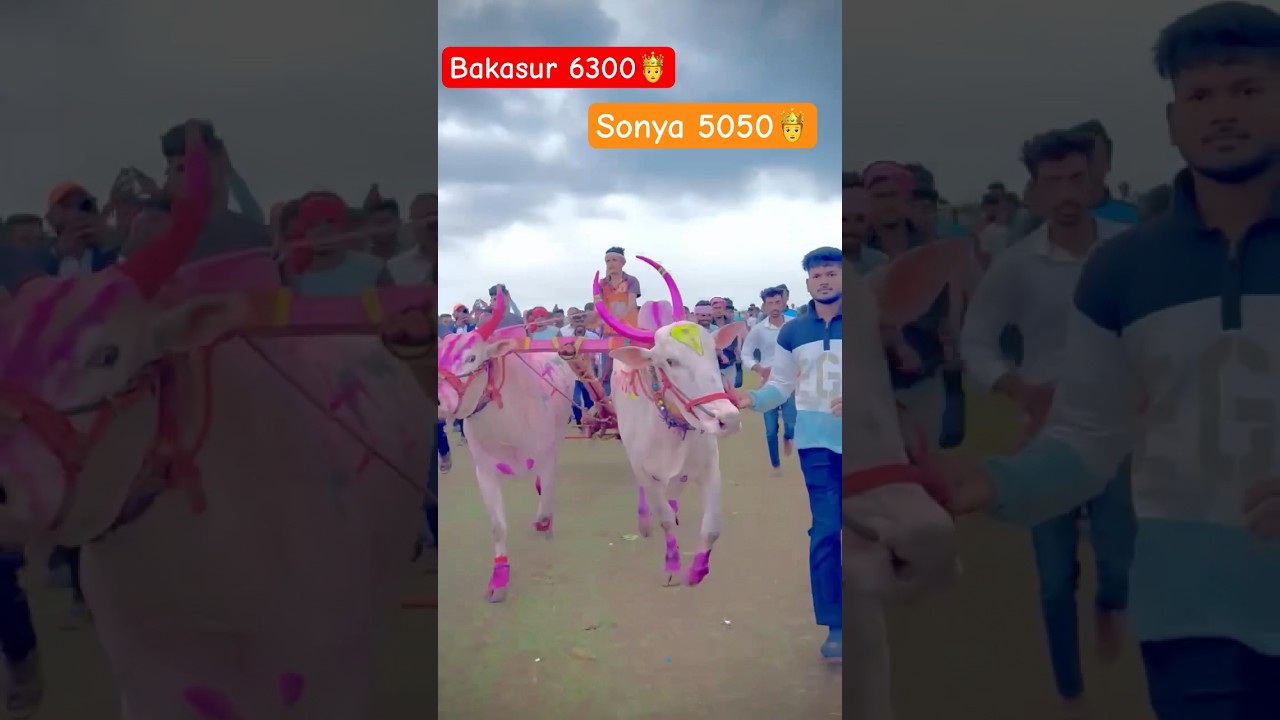 Sonya 5050 & Bakasur 6300 #sonya5050 #bakasur #djpamya