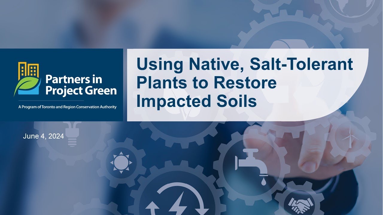 Using Native, Salt-Tolerant Plants to Restore Impacted Soils ​