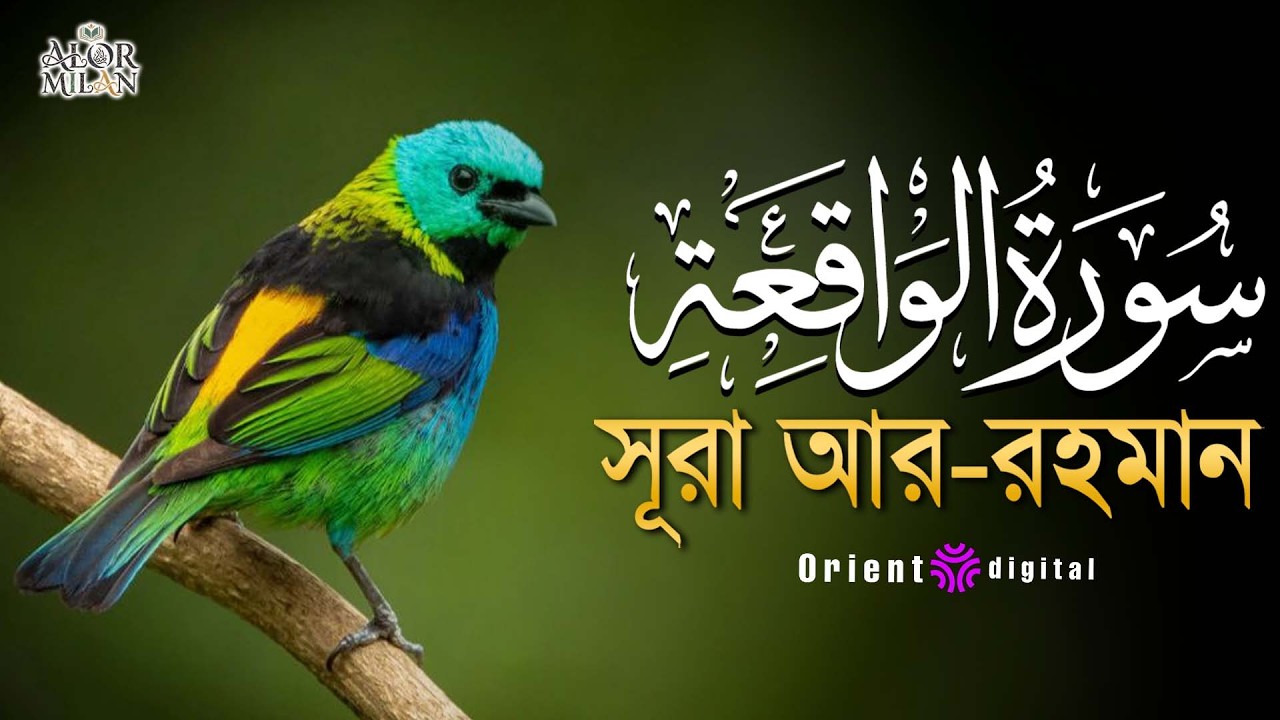 সূরা ওয়াকিয়াহ এর আবেগময় তিলাওয়াত ┇ Surah Al Waqiah Recited by Ahmed Kaseb