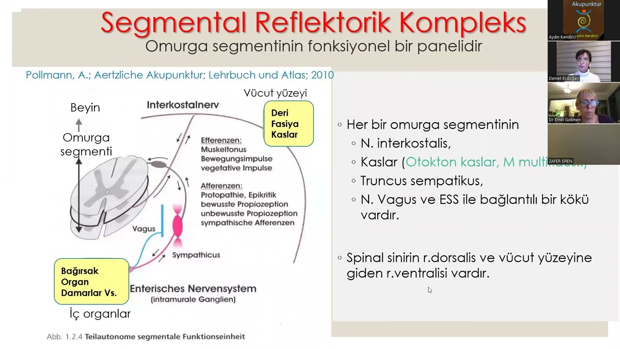 Dr.Demet ERDOĞAN - Nöralterapi Nedir? Etki Mekanizması ve Endikasyonları