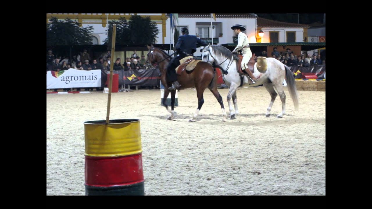 Feira Nacional do Cavalo Golegã 2013