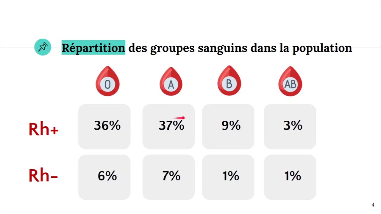 Le groupe sanguin (facteur rhésus) 🩸