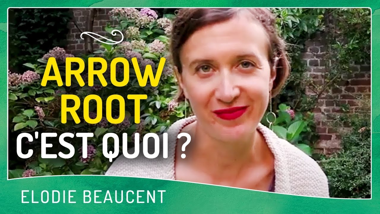 L'ARROW ROOT, c'est quoi ?