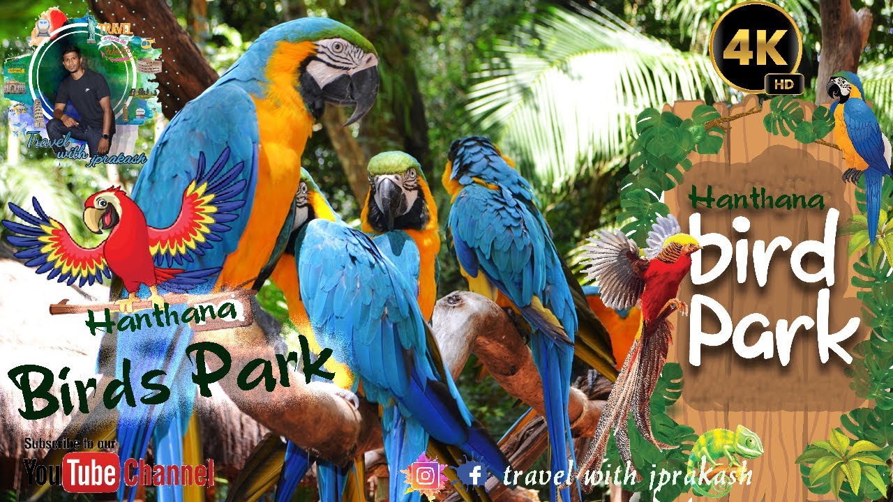 Hanthana International Bird Park & Recreation Center