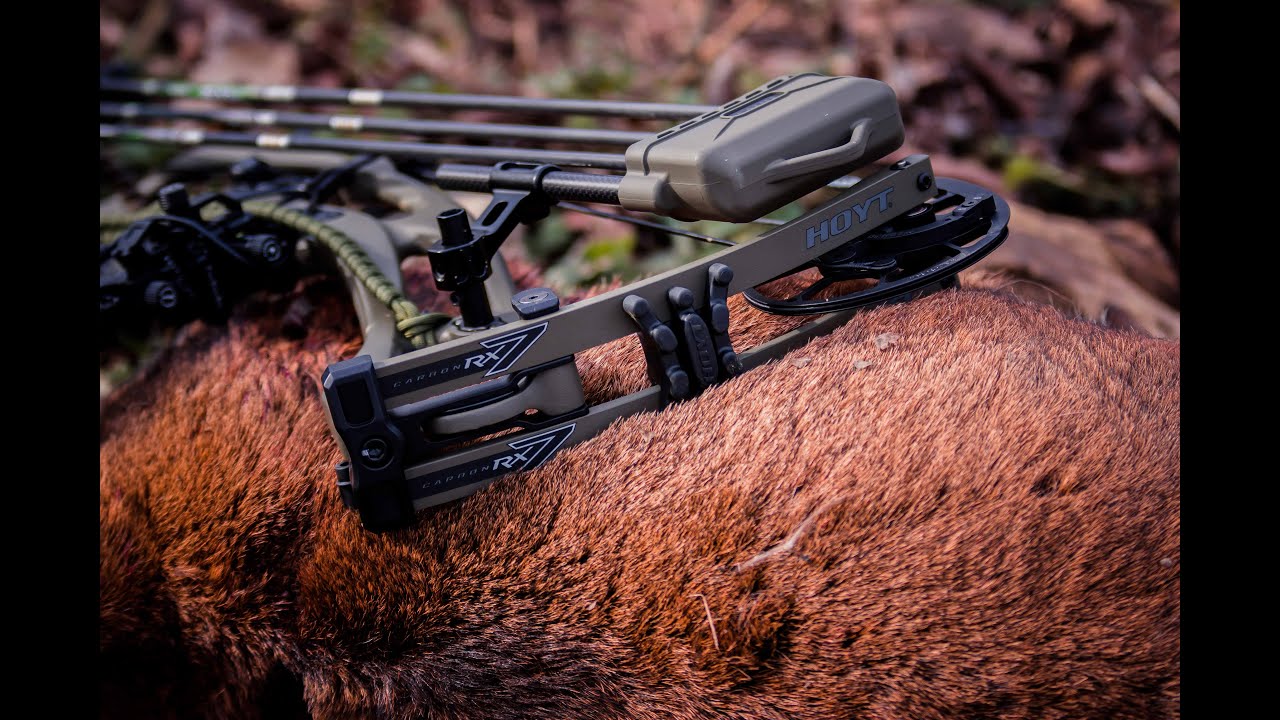 Jagd in Ungarn - Das ist Bogenjagd