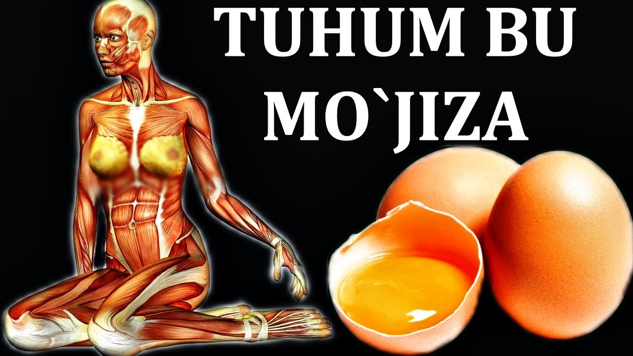 HAR KUNI ERTALAB TUHUM YUTSA NIMA BO`LADI ?