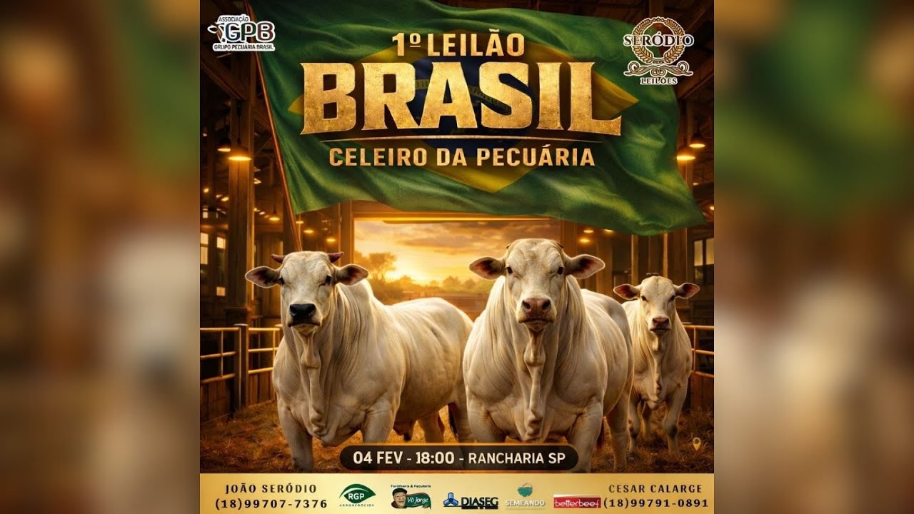 1º LEILÃO BRASIL CELEIRO DA PECUÁRIA | QUARTA 04/02/26 - 18H - REBANHO 100% Pesado