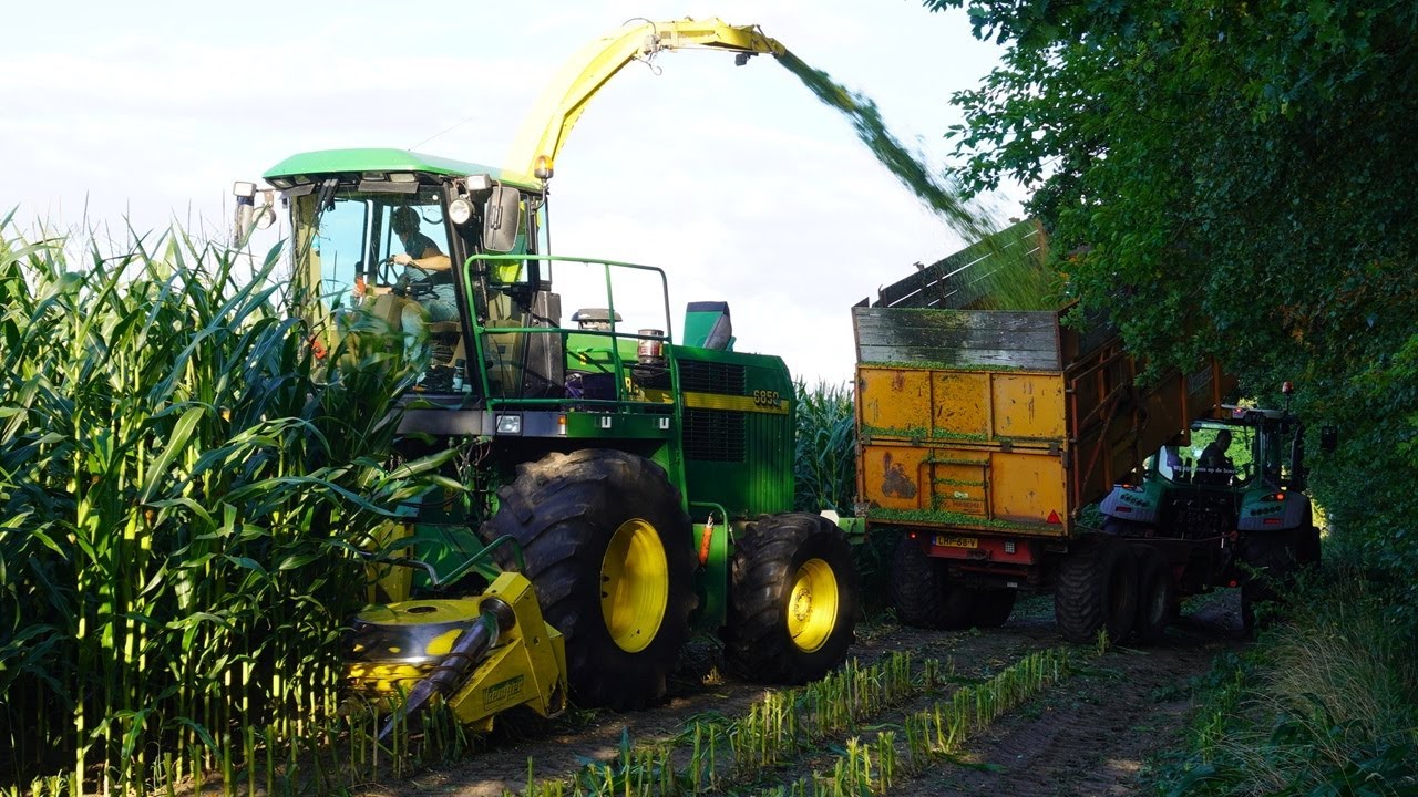 Mais 2025 | John Deere 6850 | Fendt 312 313 314 | Bloemendal Elspeet | Mais hakselen | Mais silage