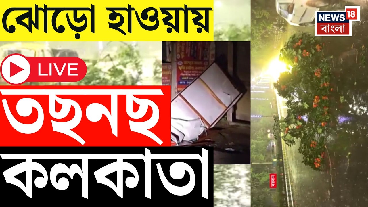 Weather Update Today LIVE |  কলকাতায় গাছ পড়ে বিপত্তি, মাঝরাতে কালবৈশাখীর ‘তাণ্ডব নৃত্য