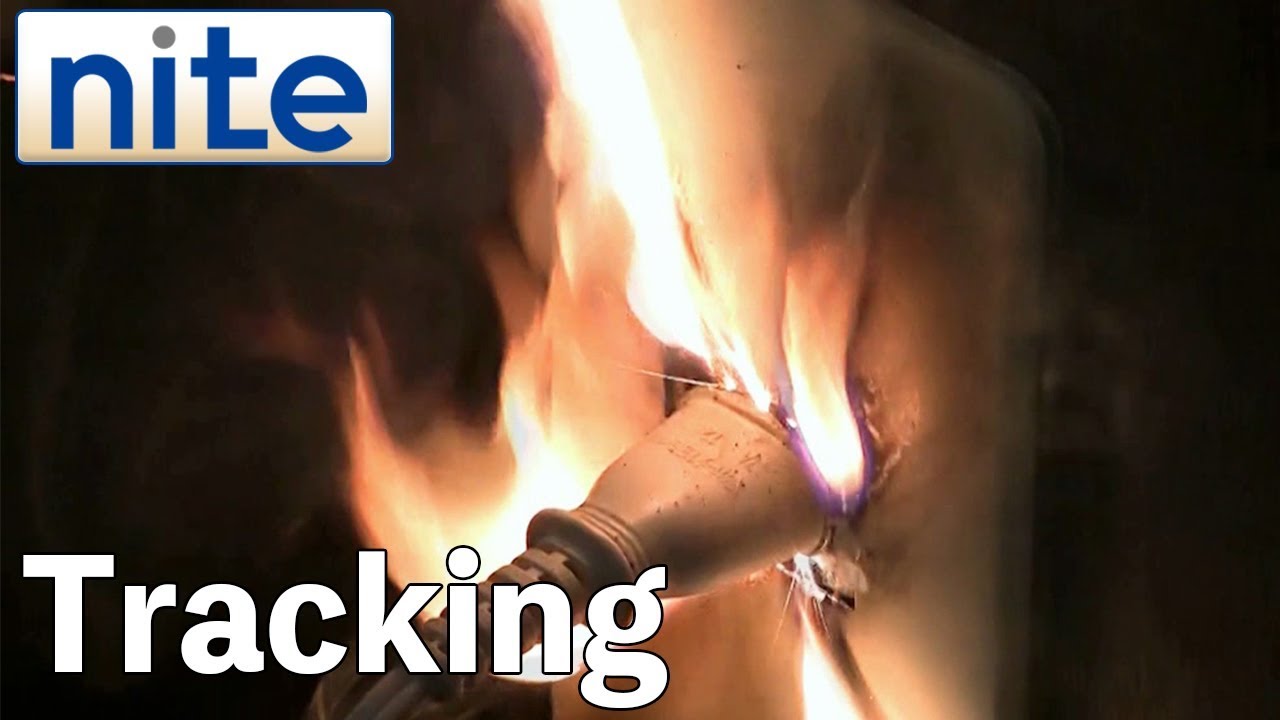 【nite-ps】Power plug:1.A fire starting from a power plug due to a tracking phenomenon