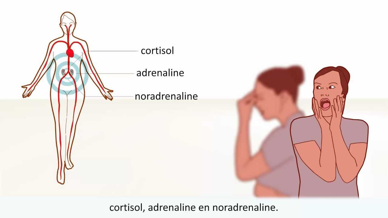 Burn-out - Symptomen en behandeling