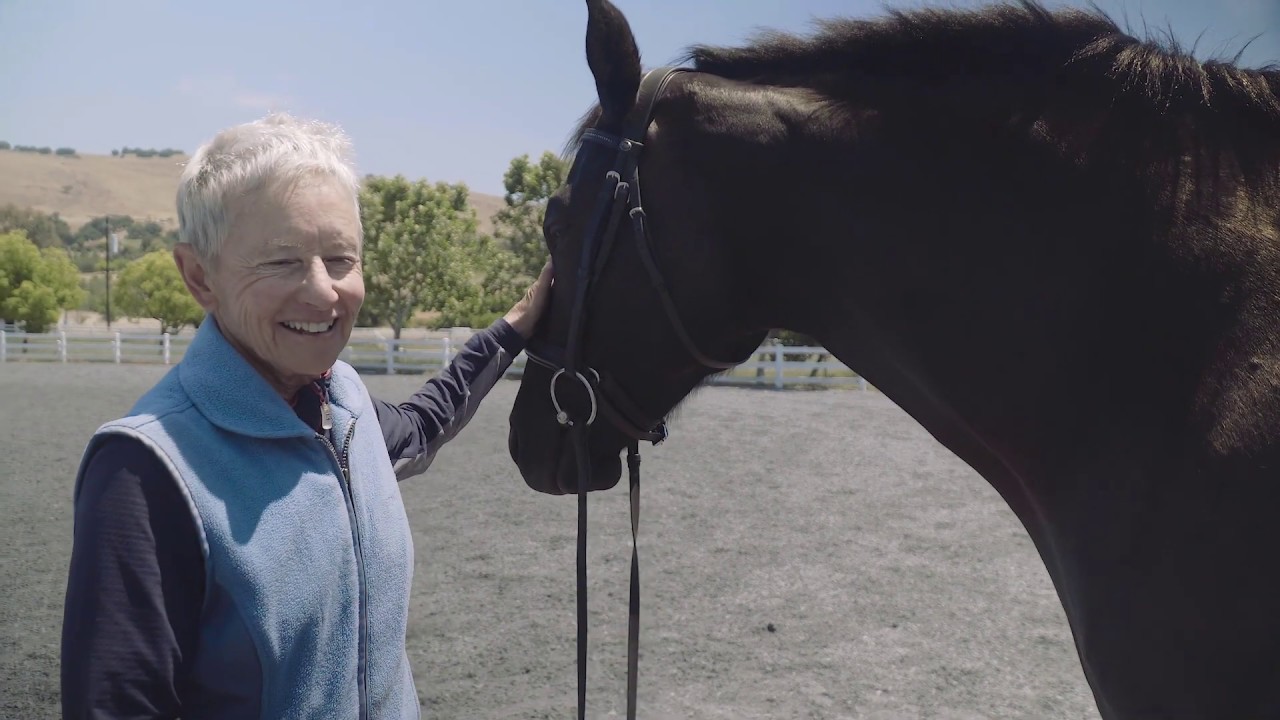 Operant Conditioning:  Introduction to how horses learn through Trial & Error.
