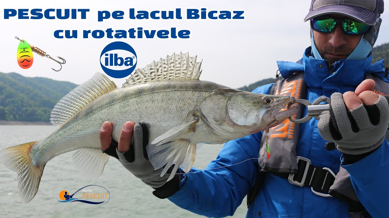 Pescuit pe lacul Izvorul Muntelui, Bicaz' 2020, cu rotativele Ilba (surpriza salau 2.75kg)