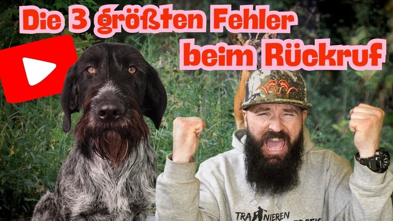 Die 3 größten Fehler beim Rückruf deines Hunde - mit Jagdhundeprofi Dennis Panthen