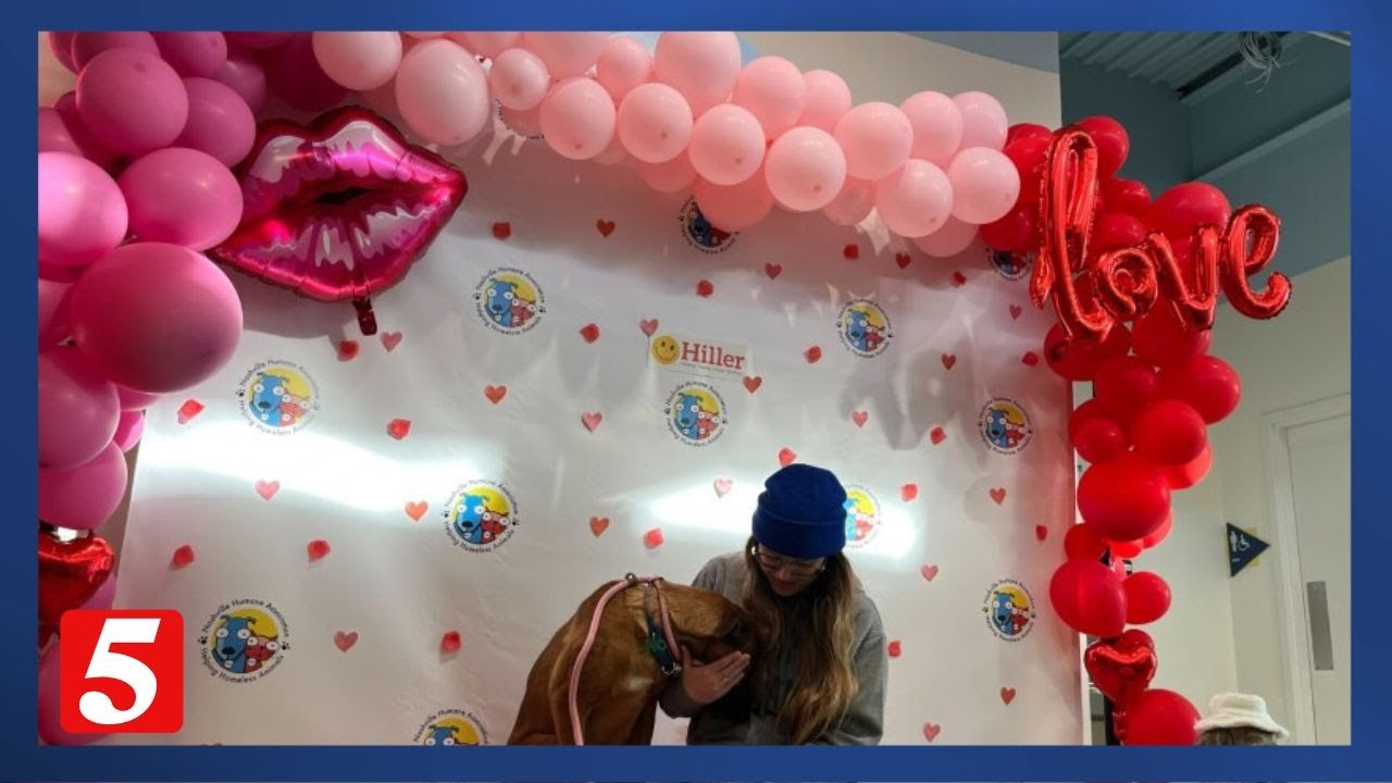Nashville shelter dogs get Valentine's Day dates through special volunteer program
