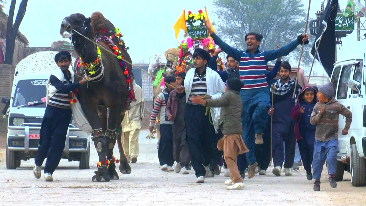Kalyam Mela 2023 | Baba Fazal Shah Kalyami | Punjab,s Biggest Camel Festival 2023 @Ah_med44