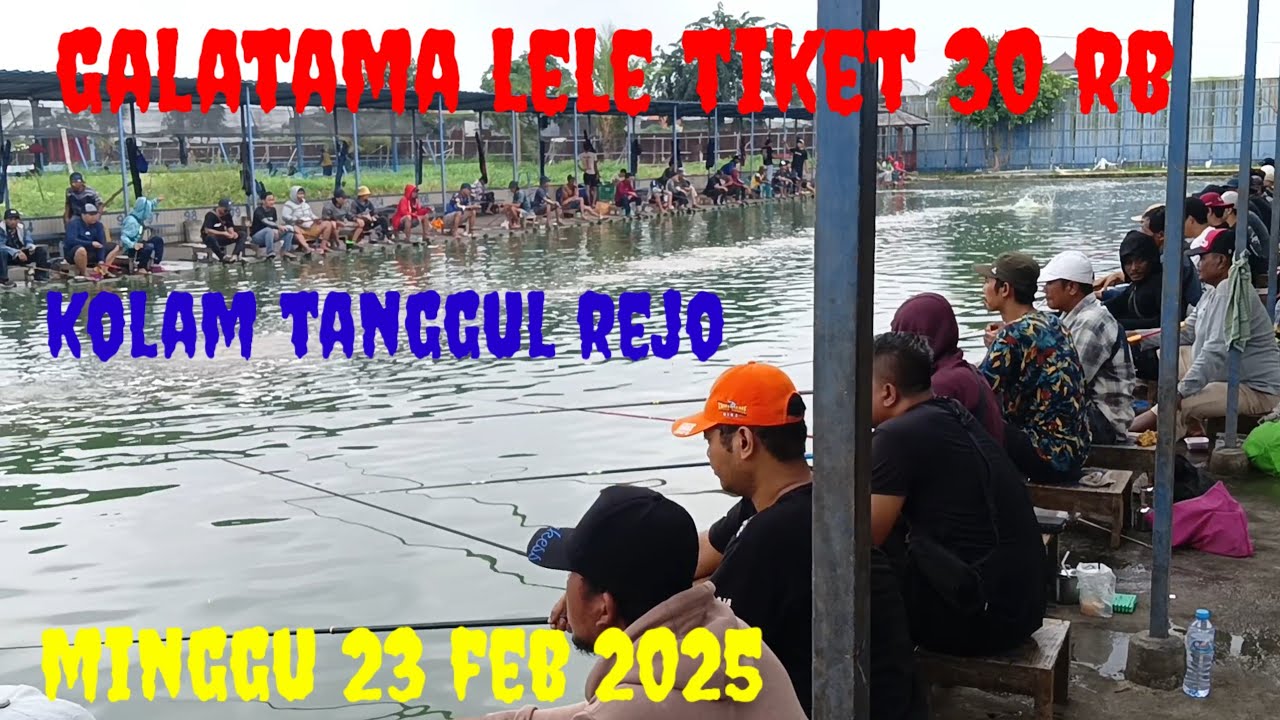 LOMBA GALATAMA LELE RAME PUOOL 23 FEB 25 KOLAM TANGGUL REJO.