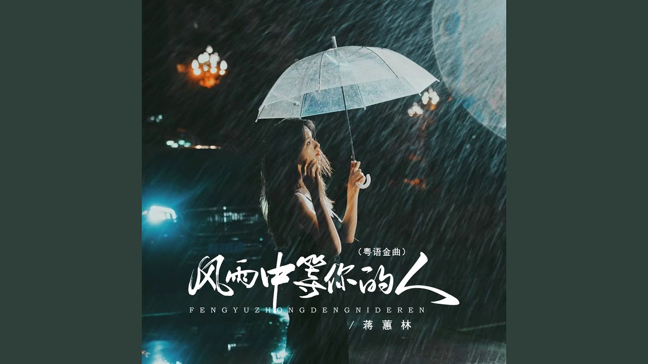 风雨中等你的人 (Dj京仔粤语金曲版)