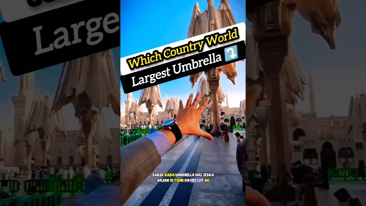 World Largest Umbrella?#facts #sciencefacts #sciencefacts