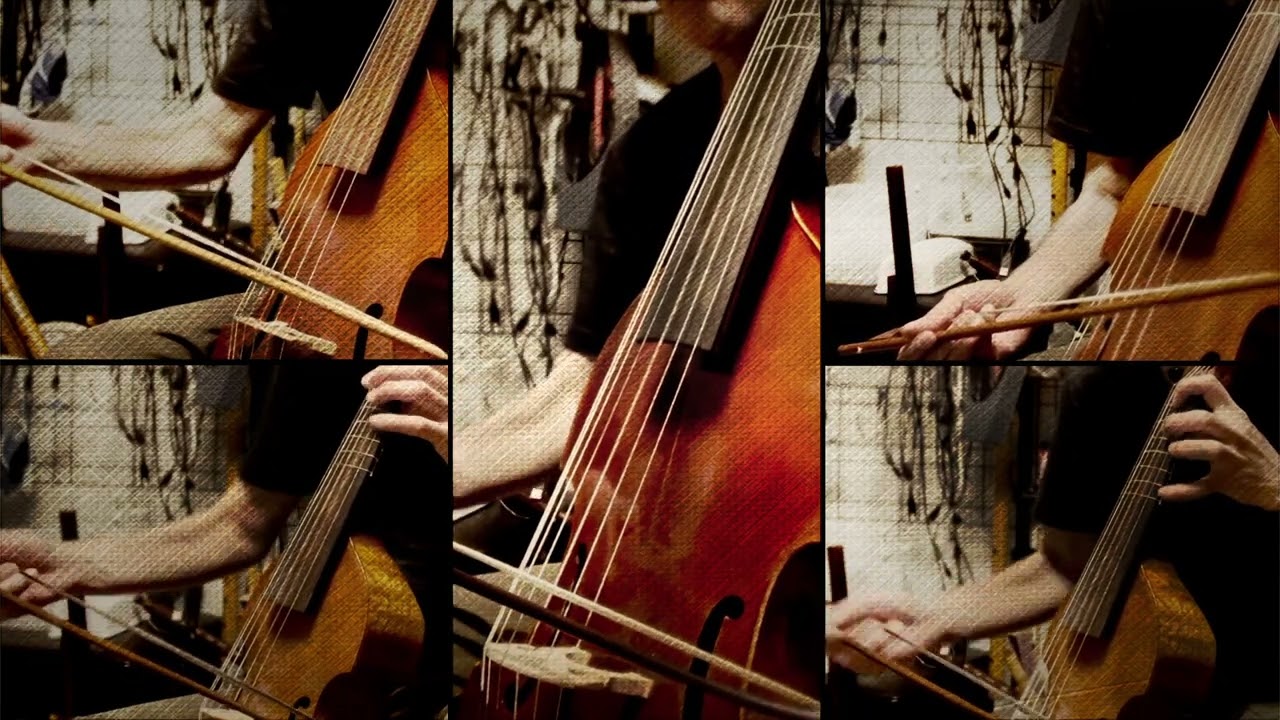 Gibbons  Trust not too much (Instrumental)