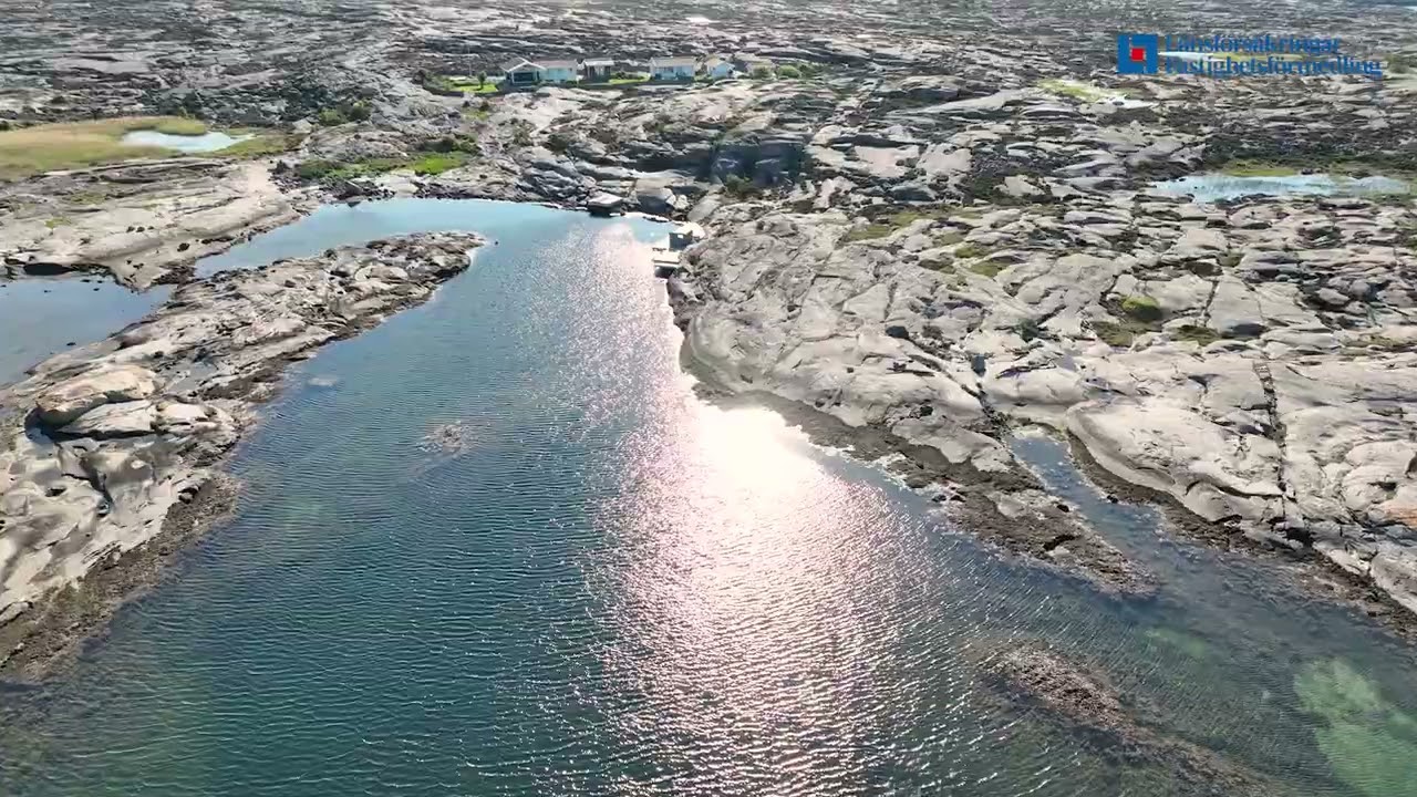 Olstensmyr