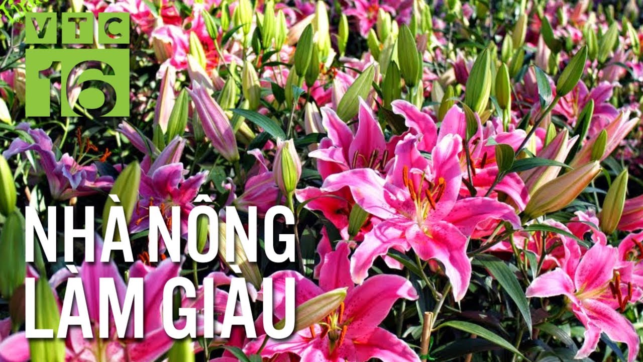 Bí quyết 